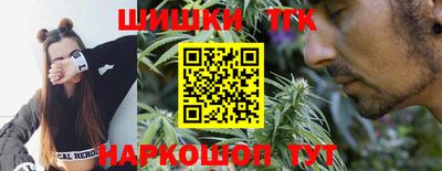 индика Кинель