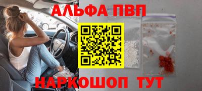 хмурый Кингисепп