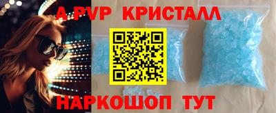 хмурый Кингисепп